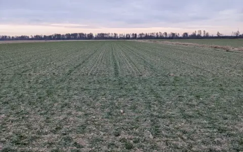 Zimowy krajobraz pól uprawnych na Lubelszczyźnie. Wartość ziemi rolnej w tym regionie jest kluczowa dla rolników.