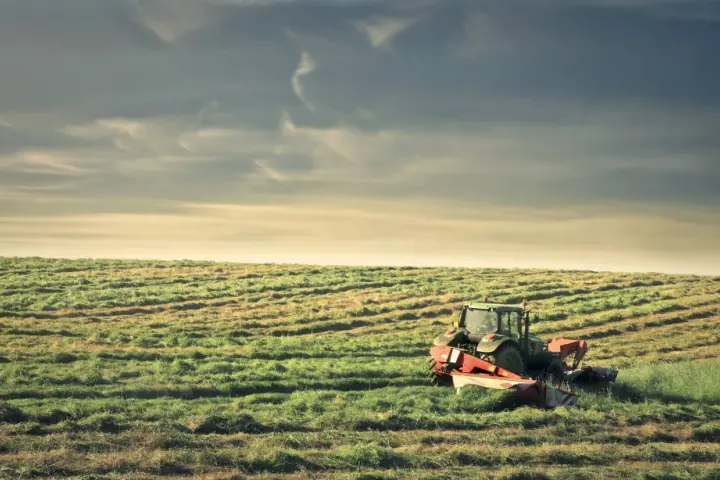 Traktor kosi trawę na polu. To obraz dziedziczenia ziemi rolnej po rodzicach, symbol kontynuacji tradycji i ciężkiej pracy.
