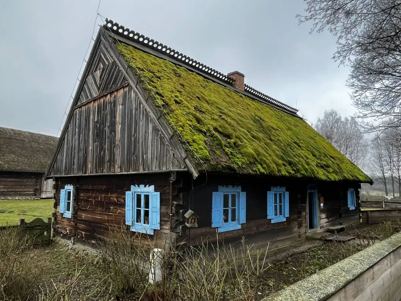 Drewniany dom z mchem na dachu, niebieskimi okiennicami i kominem. Piękny przykład architektury wernakularnej.
